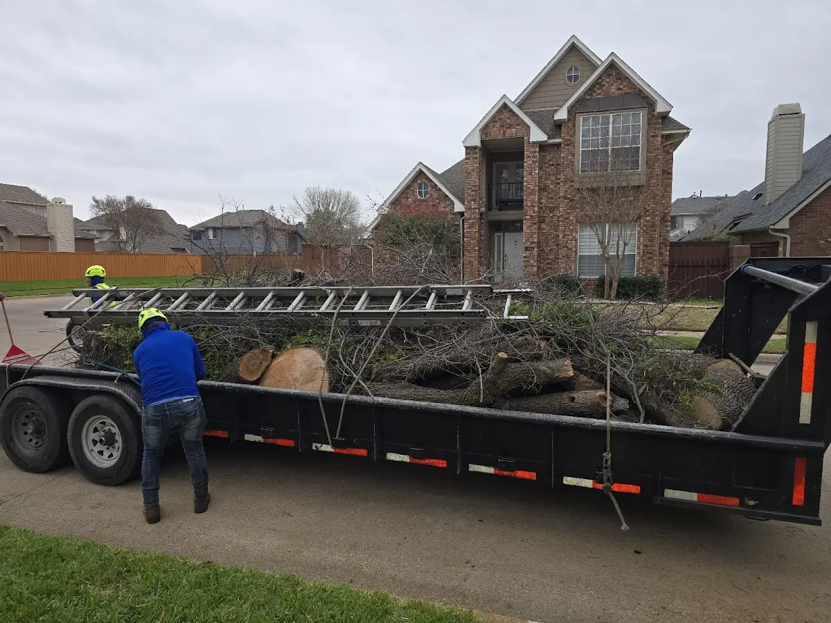 Expert Lot Clearing with proper safety equipment in Montello